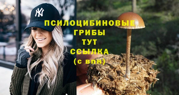 скорость Армянск
