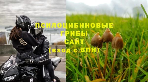 амф Аркадак