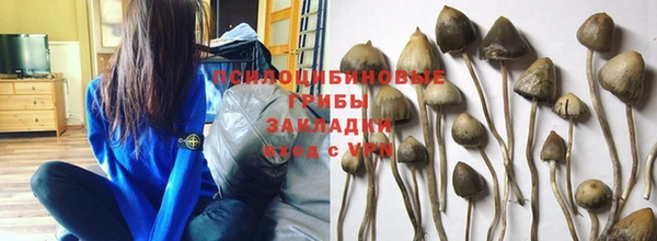 амф Аркадак