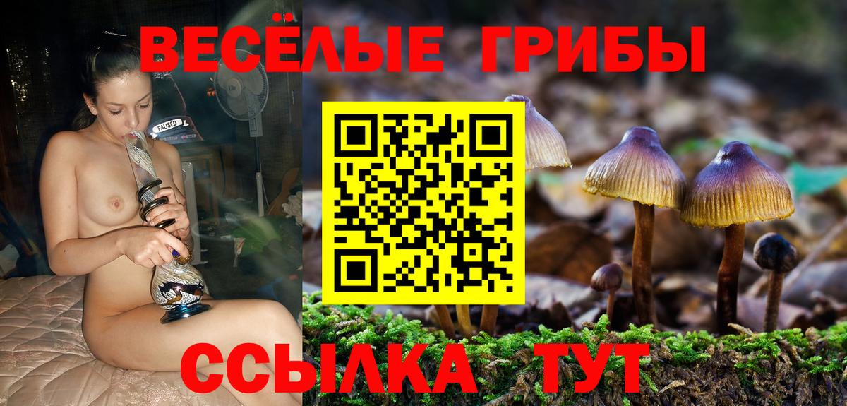 Галлюциногенные грибы ЛСД Брянск