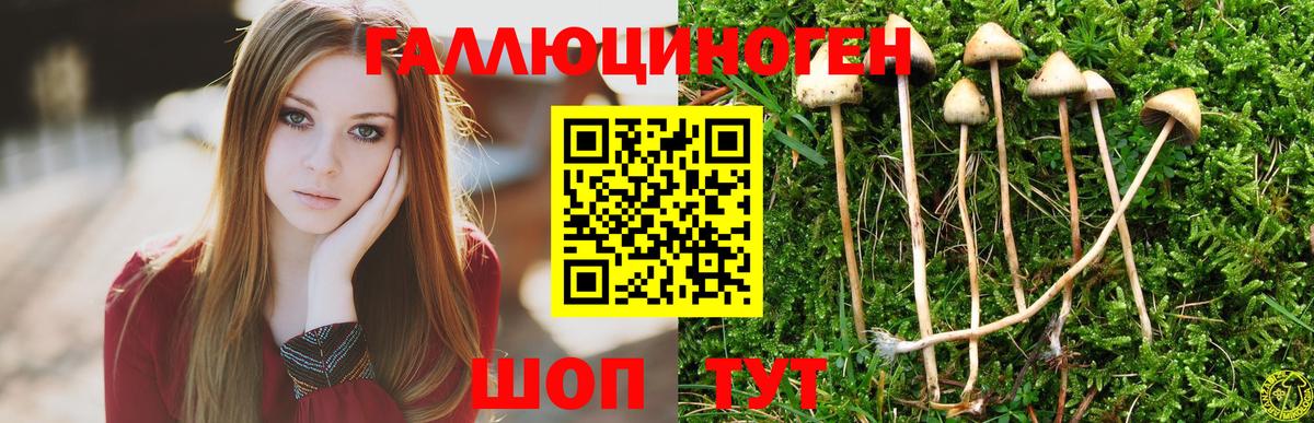 Брянск  Псилоцибиновые грибы ЛСД  Вход с VPN  Псилоцибиновые грибы Cubensis 